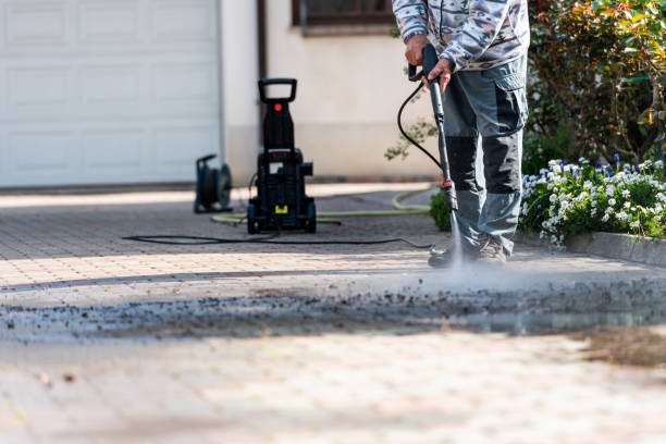 Best Concrete Pressure Washing  in Honokaa, HI