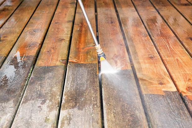 Best Sidewalk Pressure Washing  in Honokaa, HI