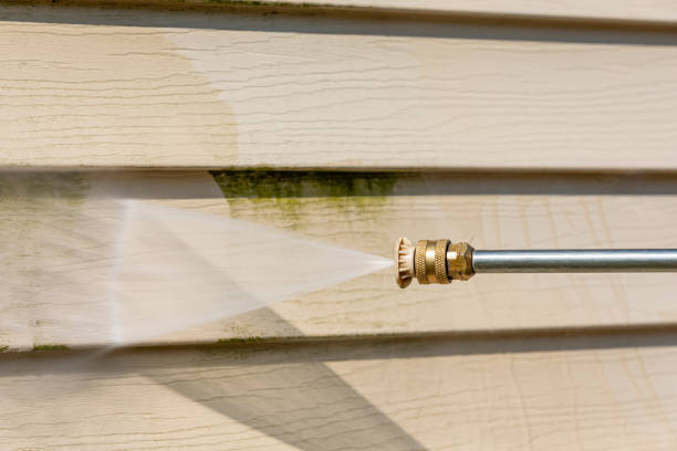 Best Roof Pressure Washing  in Honokaa, HI