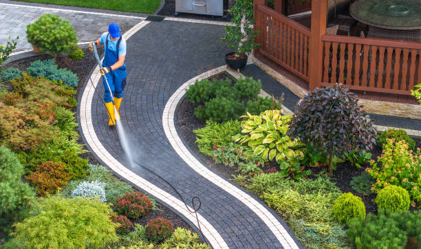 Best Local Pressure Washing Services  in Honokaa, HI