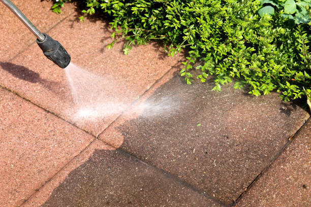 Why Choose Our Certified Pressure Washing Experts for Your Project Needs in Honokaa, HI?